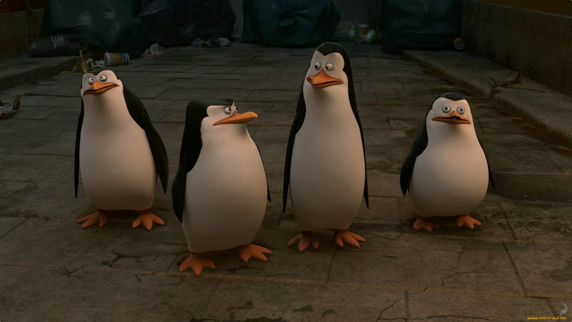 , the penguins of madagascar, 